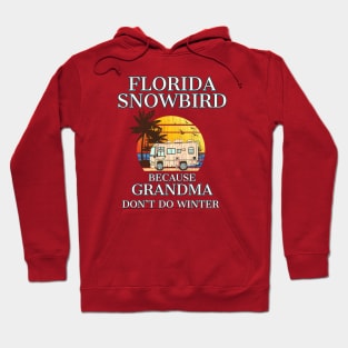 Florida Snowbird RV GRANDMA Don't Do WINTER Hoodie